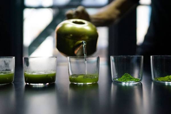 Are You Drinking the Right Kind of Matcha?