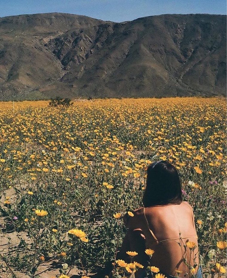 https://www.wellandgood.com/wp-content/uploads/2017/07/women-outdoors-range-flowers.jpg