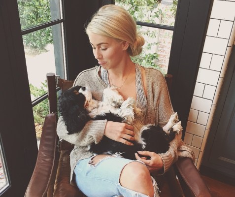 The Wellness Treatment Julianne Hough Swears by for Her Dogs
