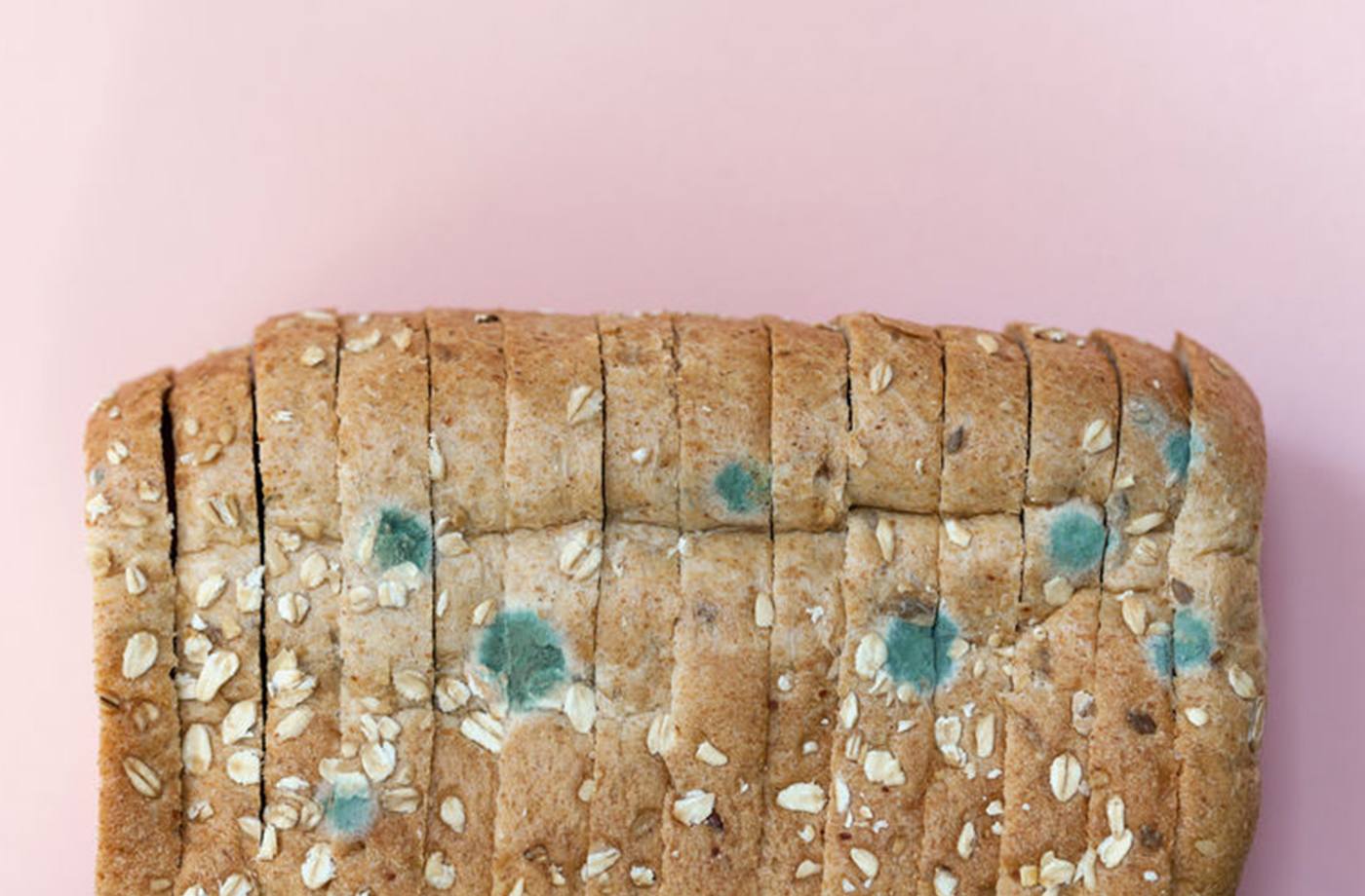 Is It Safe To Eat Moldy Bread?