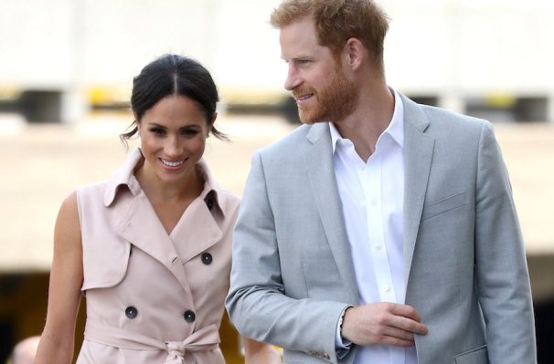 Prince Harry and Meghan Markle Just Adopted a Very Good Dog (for Their Health, of...