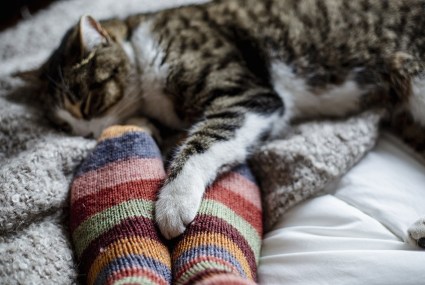 The Only Pairs of Cozy Socks You’ll Need This Winter