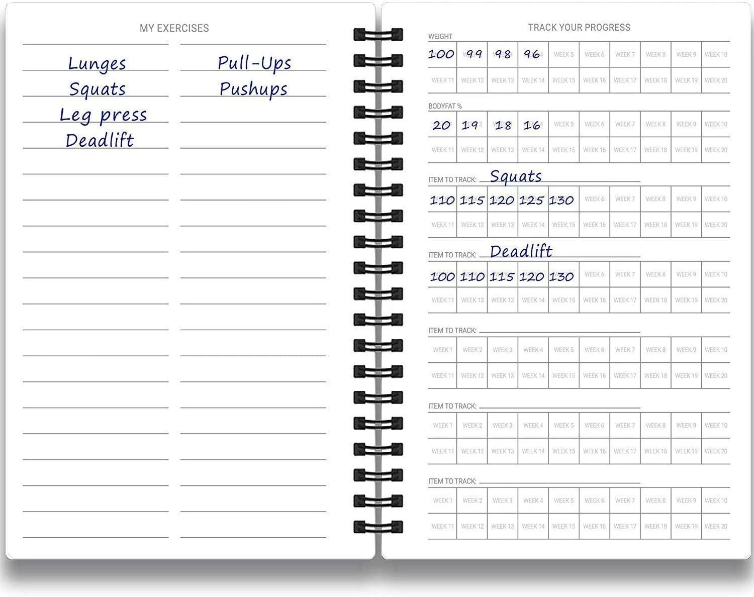 SaltWrap Daily Fitness Planner - Training Log & Food Journal (The Original  Fitness Tracker)