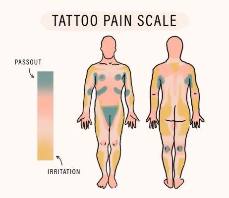 Tattoo Pain Chart Which body parts have the most pain when you get a   WildKlass Jewelry