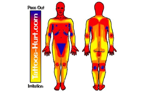 Tattoo Body Pain Chart Male