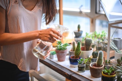 DIY Recycled Plant Pots to Turn Your Waste Into Something Great