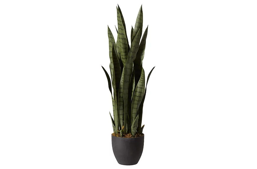 Faux Snake Plant - World Market