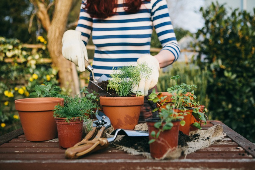 8 online gardening classes that'll give you a green thumb | Well+Good