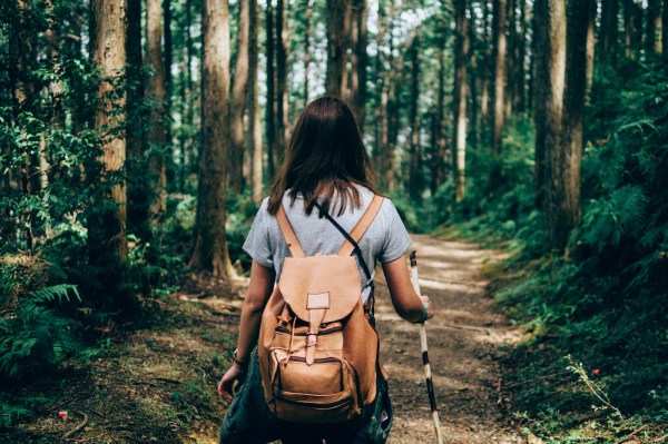 Now That You're Spending More Time in Nature, It's Important To Be Diligent About Ticks