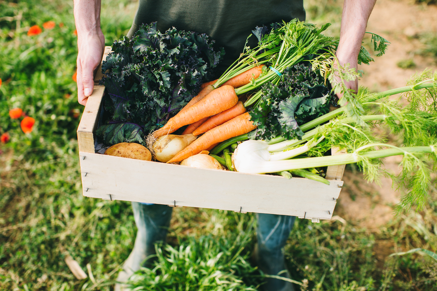 farm food delivered to your door