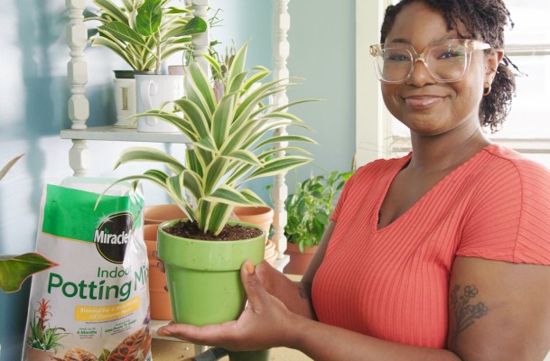 3 Tips for Newbie Plant Parents for Keeping Your Indoor Plants Alive