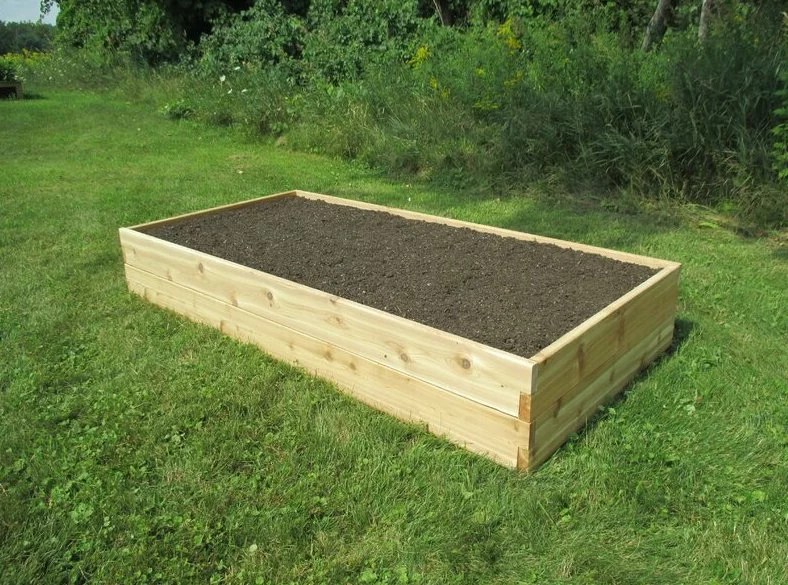 Raised Garden Bed Ideas From a Vegetable Growing Pro | Well+Good