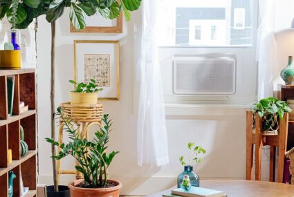 The Best Moisture Absorbers To Prevent Mold, Mildew and Allergens