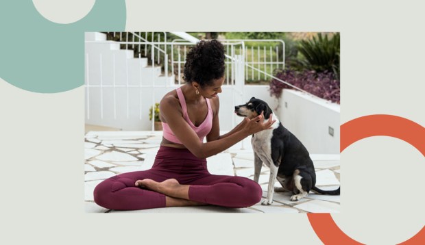 The Wellness Pet Parent Guide