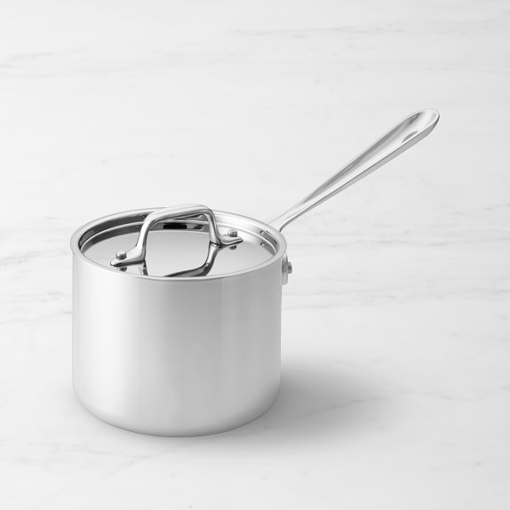 https://www.wellandgood.com/wp-content/uploads/2021/07/All-Clad-Stainless-Saucepan-.jpeg