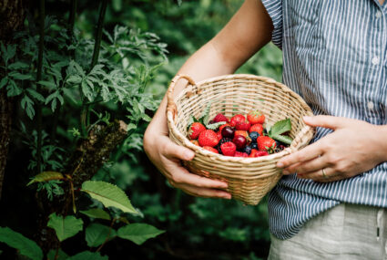 Foods That Mold Quickly, According to a Food Scientist