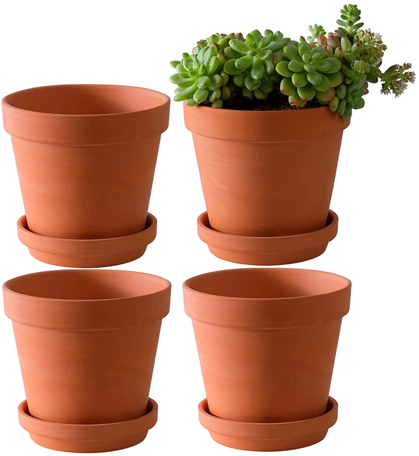 https://www.wellandgood.com/wp-content/uploads/2021/08/terracotta-pots.jpg