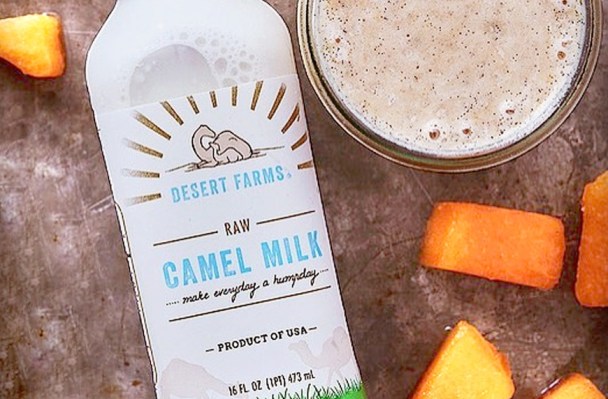 Calling It: You're About to See a Lot More Camel Milk on Store Shelves