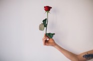 The Symbolic Meaning Of A Single Red Rose Well Good