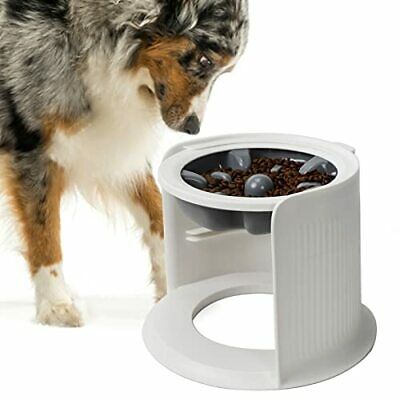Raised Dog Bowl Large Stand Single Feeder Elevated Collapsible Water Food  Bowls