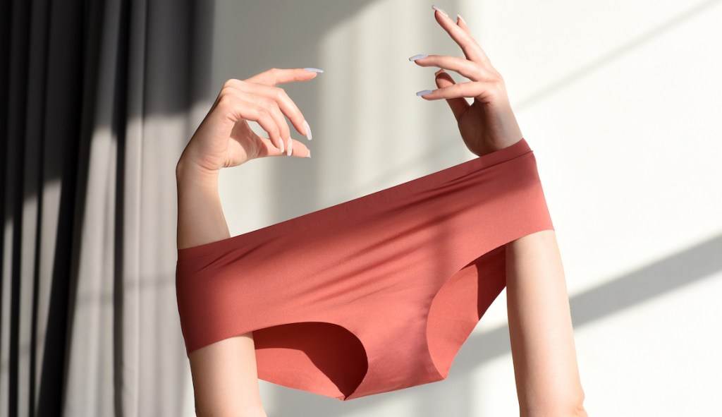 Knix Women's Super Absorbency Cotton Modal Super Leakproof Bikini