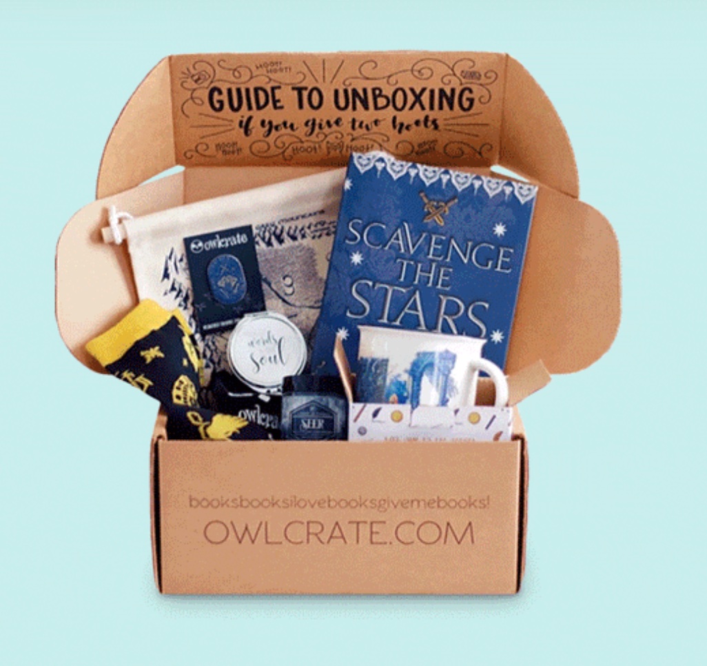 Gifts for Book Lovers  Gift Ideas for Bookworms – My Chronicle Book Box
