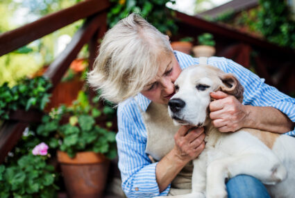 Is it safe to let your dog lick your face? Here's what vets say - Hindustan  Times