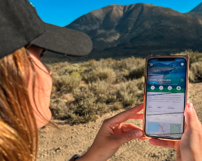 woman using alltrails app to navigate a hike, a great work from home gift