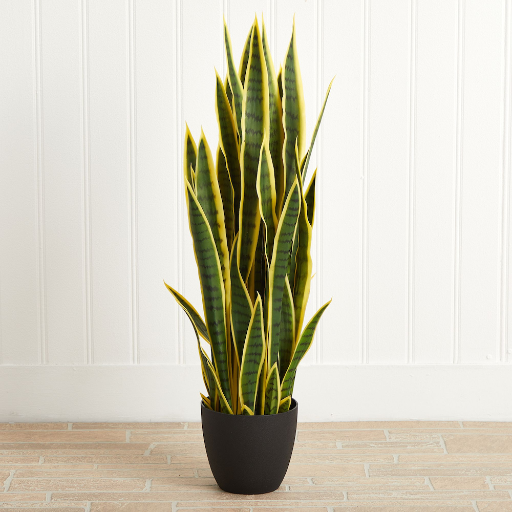 Faux Artificial Snake Plant in Pot Yellow Edged Leaf