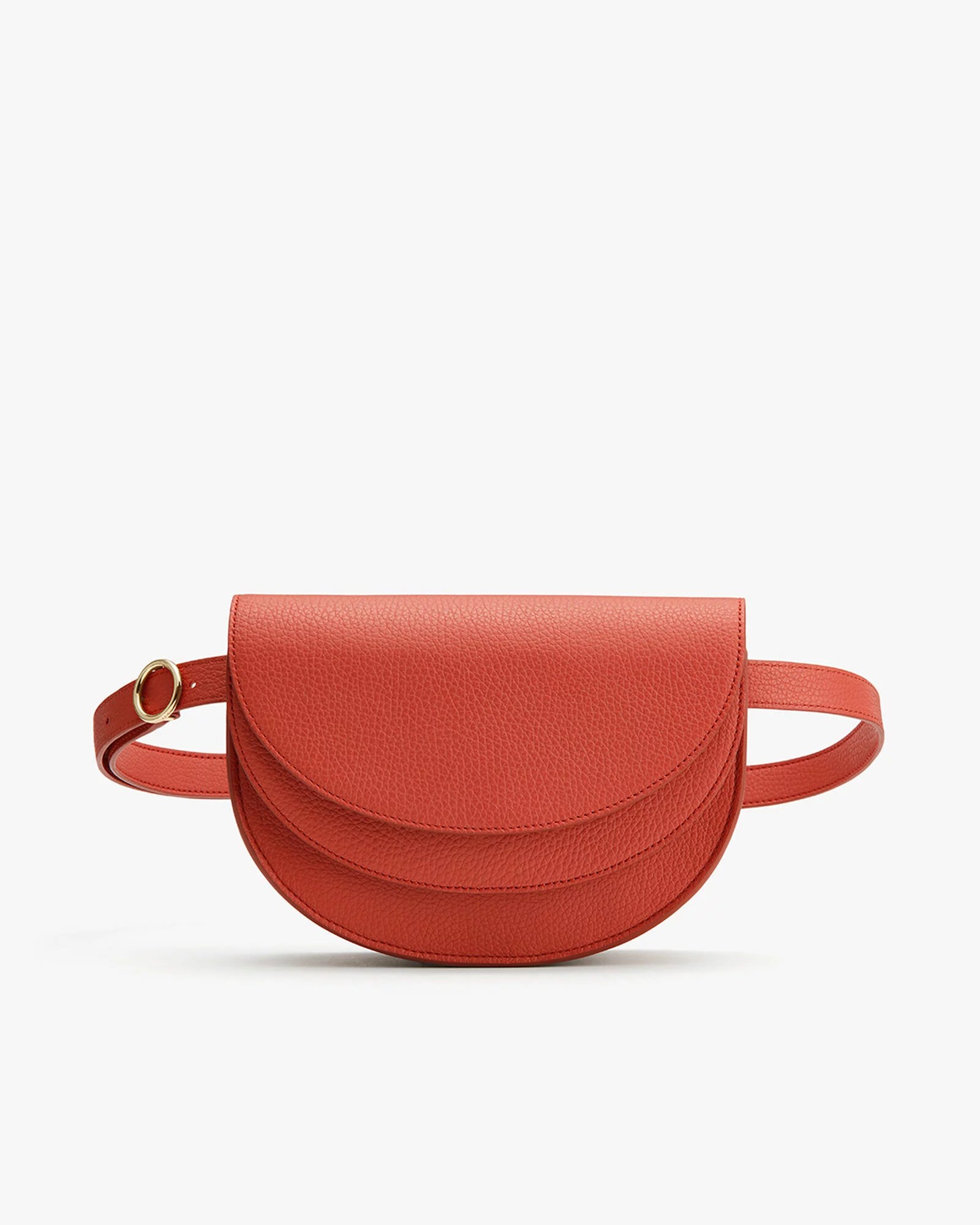 Cuyana semi circle on sale bag