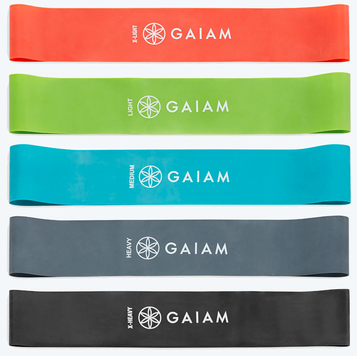 Gaiam Evolve Balance Boards - Moving Minds