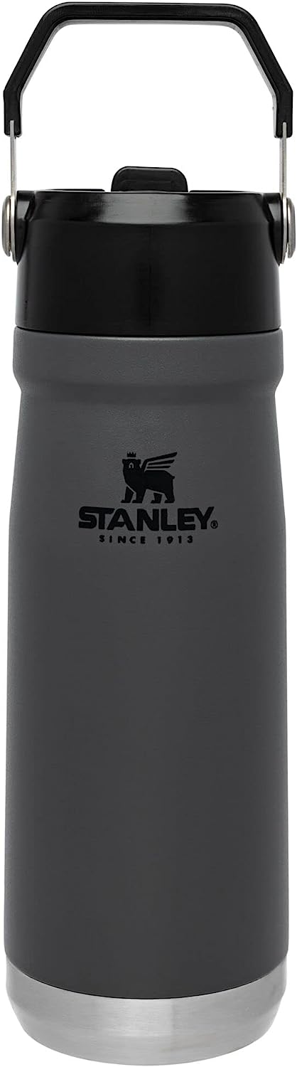 https://www.wellandgood.com/wp-content/uploads/2023/09/stanley-stainless-steel-bottle-with-straw.jpg