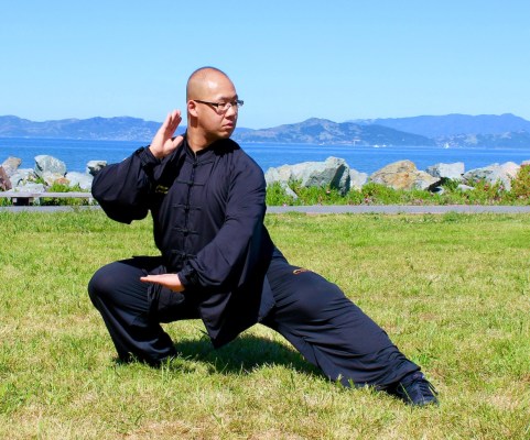 Tai chi instructor demonstrating brush the knee move