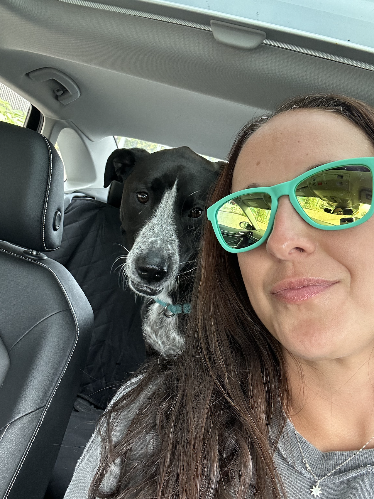 Rachel Gersten's selfie with her dog Hudson in a car