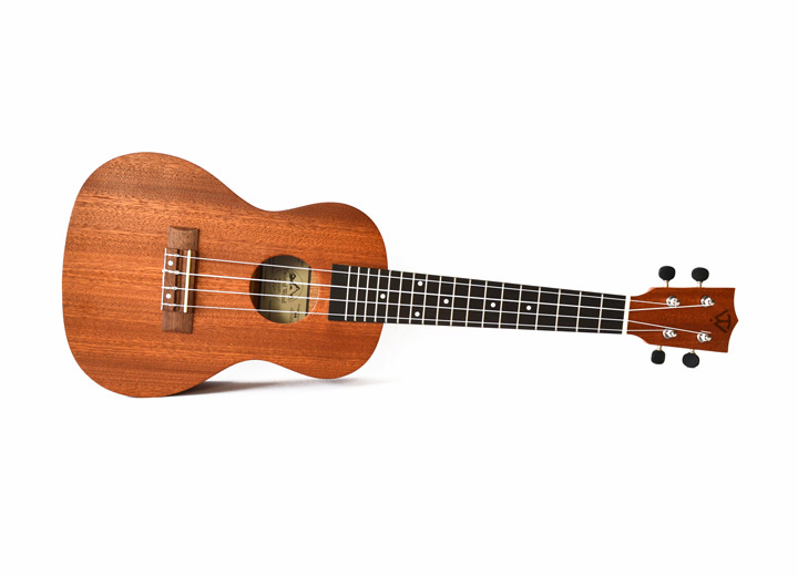 tyro ukelele