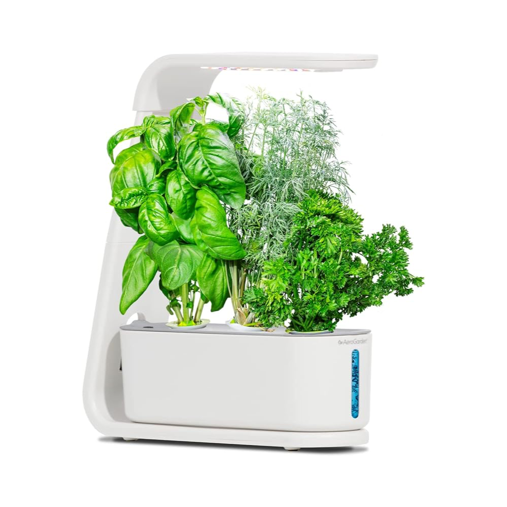 AeroGarden Sprout Indoor Garden