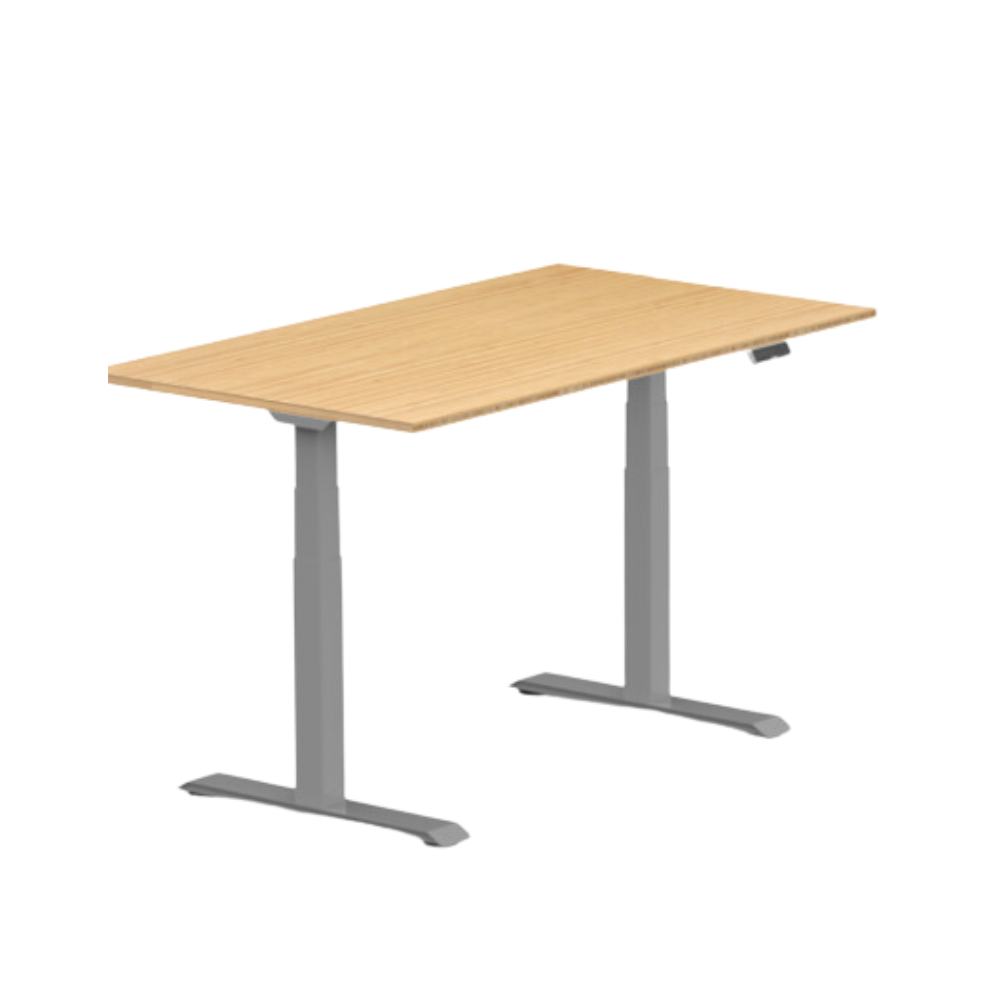 FlexiSpot E7 Premium Standing Desk