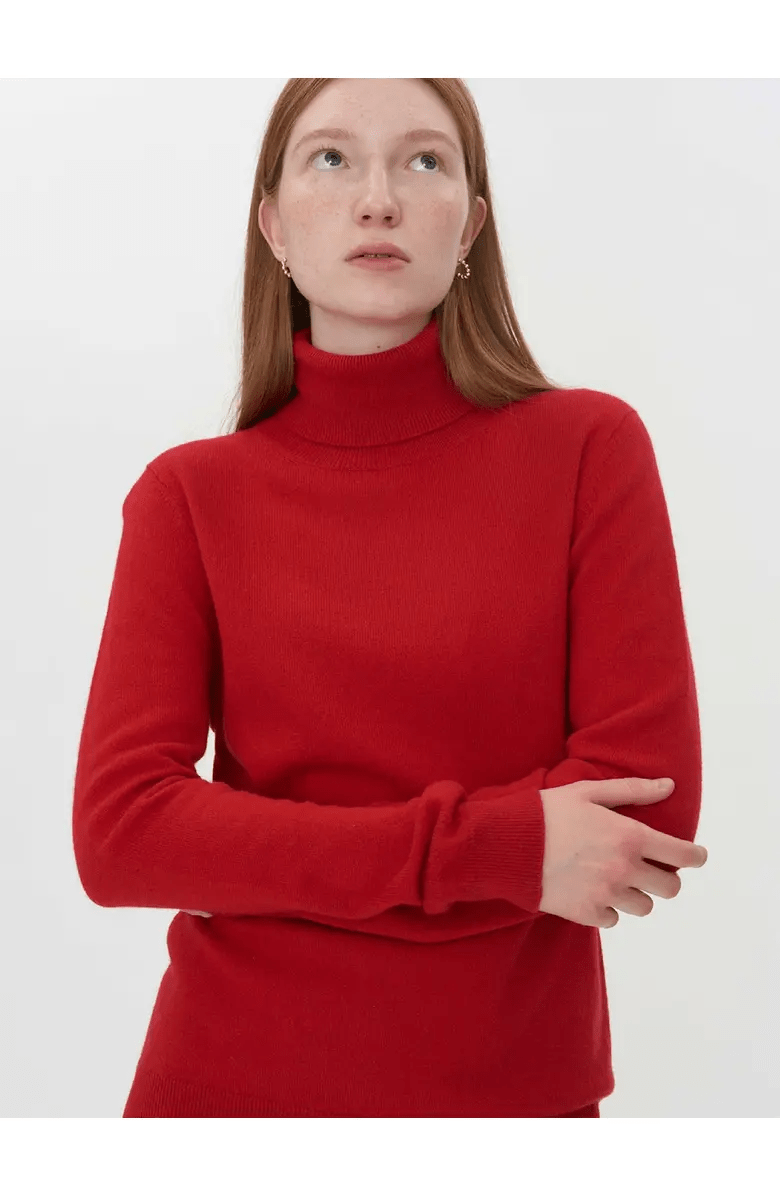 Gobi Cashmere Classic Turtle Neck