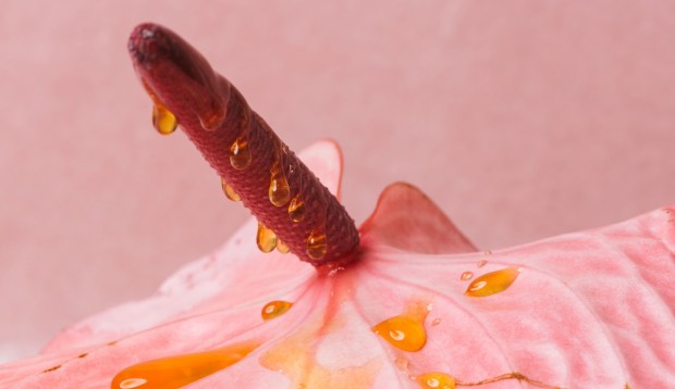 What Is the A-Spot? Access Deeper Pleasure with This Little-Known Erogenous Zone