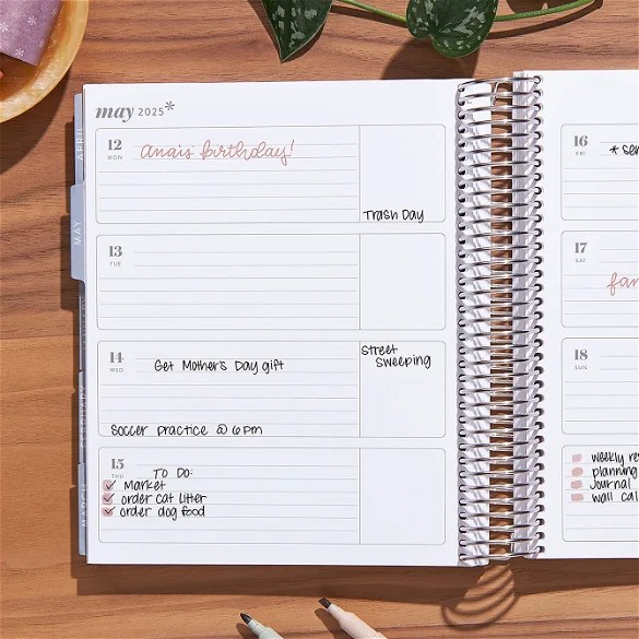 erin condren lifeplanner