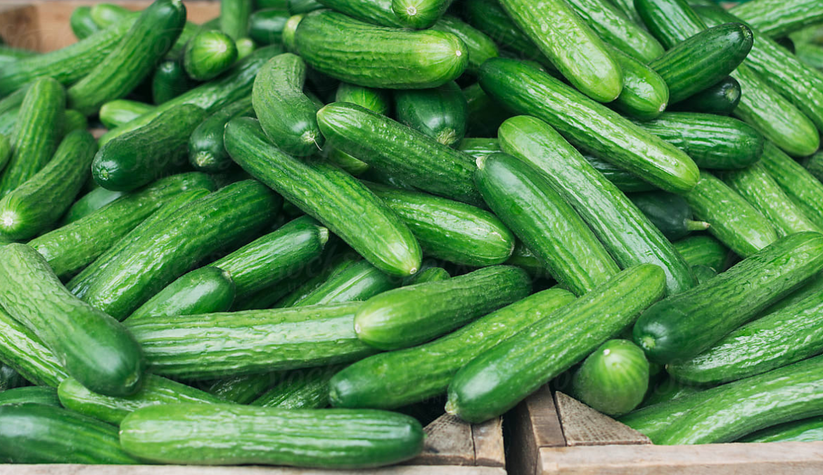 A Major Cucumber Recall is Happening That’s Linked to Salmonella